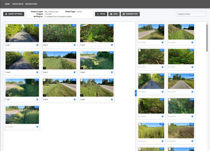 Drag to arrange photos